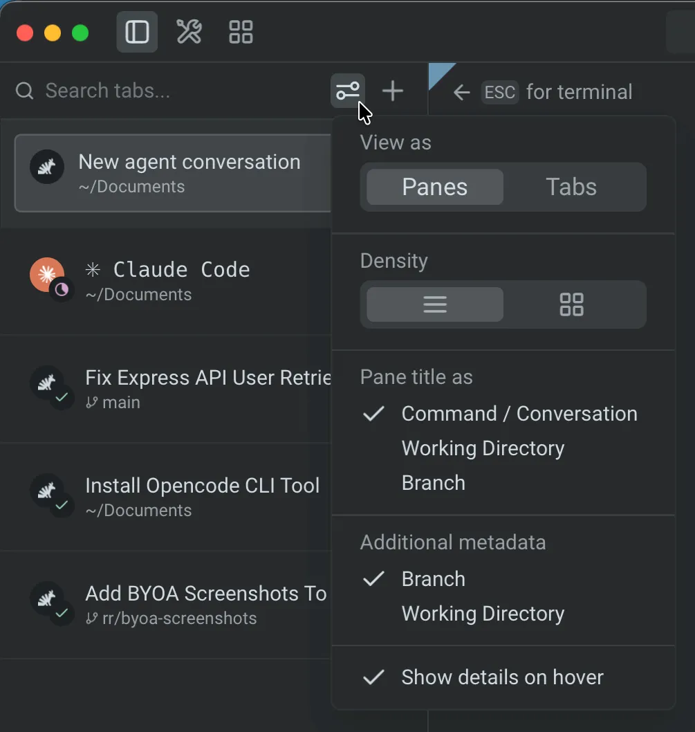 The vertical tabs settings popup anchored to the sliders icon, showing View as, Density, Pane title as, Additional metadata, and Show details on hover options
